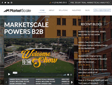 Tablet Screenshot of marketscale.com